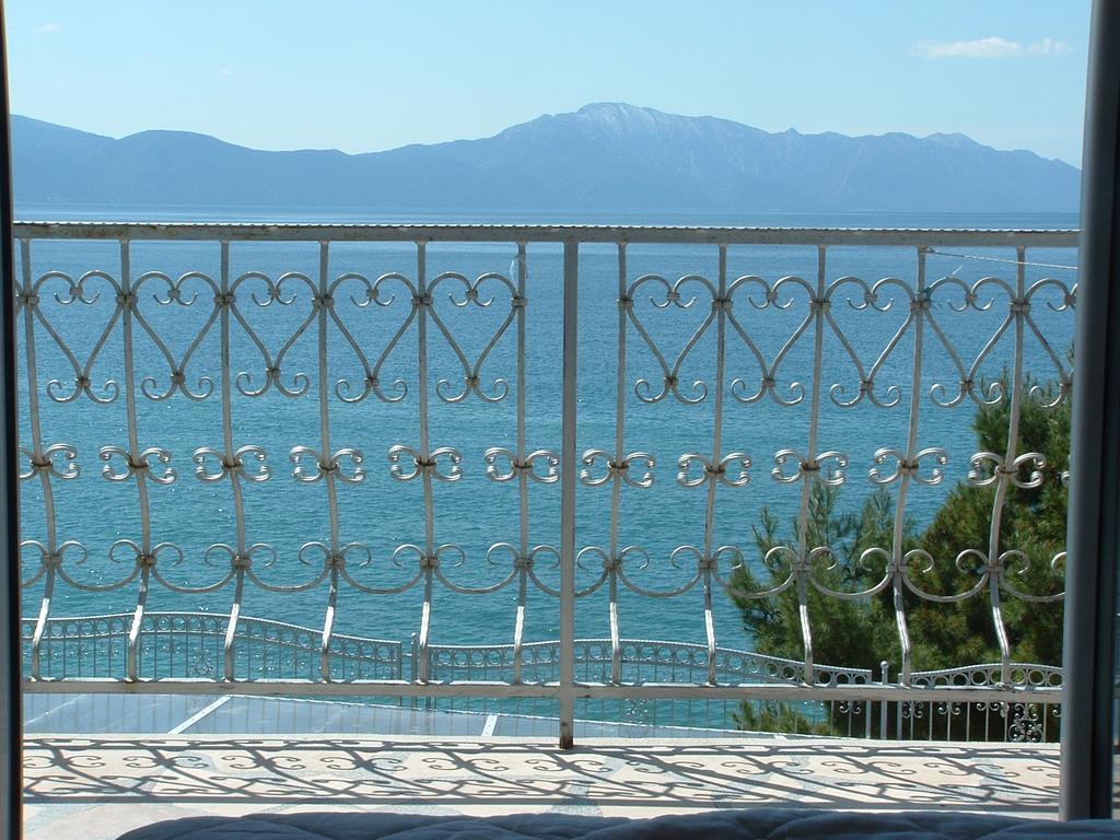 Guesthouse Kod Irene Gradac  Extérieur photo